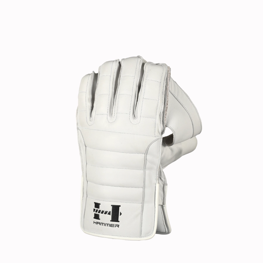 Hammer Black Edition Wicketkeeping Gloves